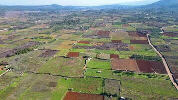 Visão do Stari grad avião hvar ilha dentro Croácia. a Stari grad avião é a incrível unesco mundo herança site, Onde a agricultura técnicas praticamente não tenho mudado desde a 4º século bc. video