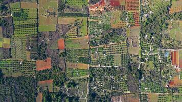 Visão do Stari grad avião hvar ilha dentro Croácia. a Stari grad avião é a incrível unesco mundo herança site, Onde a agricultura técnicas praticamente não tenho mudado desde a 4º século bc. video