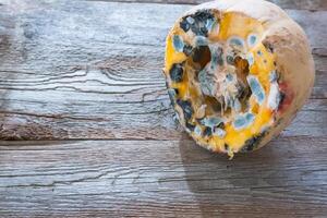 Orange moldy pumpkin on a wooden background. Mold and fungi on food, mold development, pests of stored vegetable products, a common problem. photo