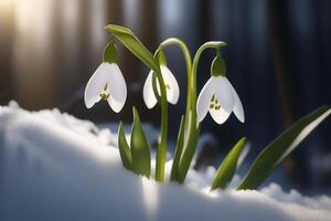 AI generated Tender spring flowers snowdrops harbingers of warming symbolize the arrival of spring. Scenic view of the spring forest with blooming flowers photo