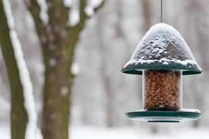 ai generado pájaro alimentador en el invierno bosque. Ayudar aves en invierno. foto