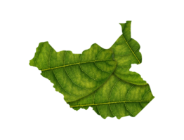 South Sudan map made of green leaves ecology concept png