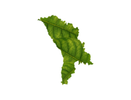 Moldova map made of green leaves ecology concept png