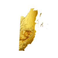Belize kaart gouden metaal kleur hoogte kaart 3d illustratie png