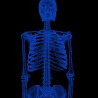 X-ray Vision,of the Human Body and Bones. photo