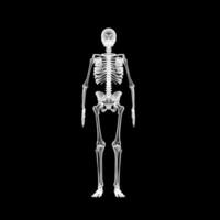 X-ray Vision,of the Human Body and Bones. photo