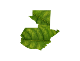 Guatemala map made of green leaves ecology concept png