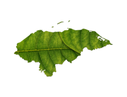 Honduras kaart gemaakt van groen bladeren ecologie concept png