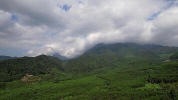 panorâmico exuberante verde paisagem montanhosa com nuvens video