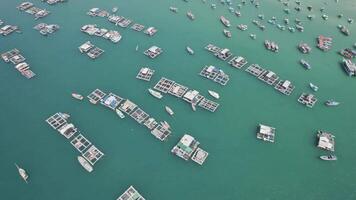 Sustainable Aquaculture Farm Aerial Seascape Scene video