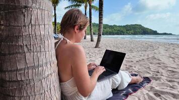 digital nômade freelancer em tropical de praia video