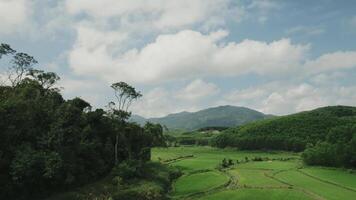 tranquilo verde arroz Campos e montanhas video