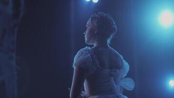 Ballerina Stand auf Bühne im ein gefroren Pose während ein Ballett Leistung. video