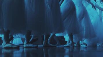 el bailarina estar en un fila y cambio el posición de su piernas. luego ellos correr fuera de el marco. danza de bailarinas en escenario. el posición de el piernas en ballet video