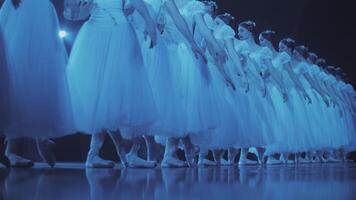 el bailarinas estar en un fila y cambio el posición. el posición de el piernas en ballet. sincrónico movimientos en ballet. video