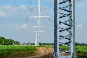 Transmission tower on a background field of soybeans photo