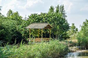 Arbour on the bank of the pond. Resting place on the nature of w photo