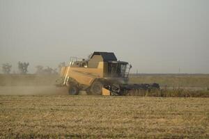 Soy harvesting by combines in the field. photo