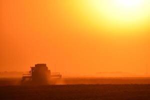 Harvesting by combines at sunset. photo
