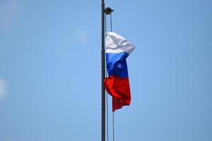 el revoloteando bandera de Rusia. foto