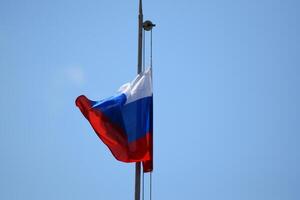 el revoloteando bandera de Rusia. foto