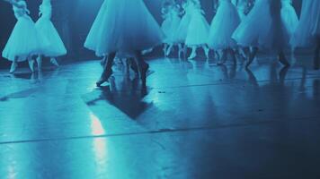 sincronizado danza de bailarinas en pointe zapatos. en escenario. un lote de pares de piernas en el marco. sincrónico pierna movimientos bailarina. video