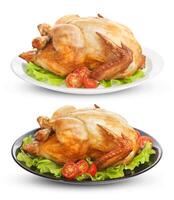 Roasted chicken isolated on white background photo