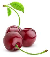 Cherry isolated on white background photo