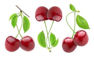 Cherry isolated on white background photo