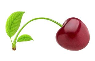 Cherry isolated. One red cherry isolated on white background with clipping path photo