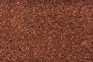 Red rice background photo