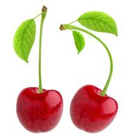 Cherry isolated on white background photo