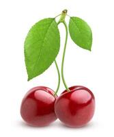 Cherry isolated on white background photo