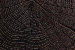 Burnt wood texture. Dark wooden background. Close up photo