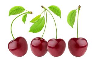 Cherry isolated on white background photo