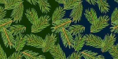 Fir tree branches seamless pattern, pine branch, Christmas conifer isolated on green background photo