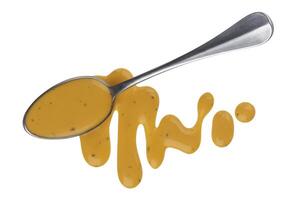 Mustard sauce, honey salad dressing with spoon isolated on white background, top view photo