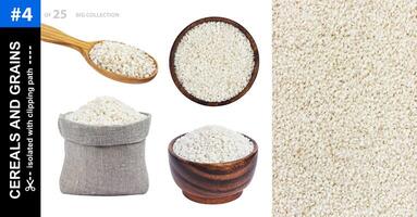 Risotto rice in different dishware isolated on white background photo