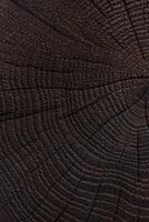 Burnt wood texture. Dark wooden background. Close up photo