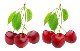 Cherry isolated on white background photo