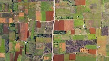 Visão do Stari grad avião hvar ilha dentro Croácia. a Stari grad avião é a incrível unesco mundo herança site, Onde a agricultura técnicas praticamente não tenho mudado desde a 4º século bc. video