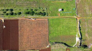 Visão do Stari grad avião hvar ilha dentro Croácia. a Stari grad avião é a incrível unesco mundo herança site, Onde a agricultura técnicas praticamente não tenho mudado desde a 4º século bc. video