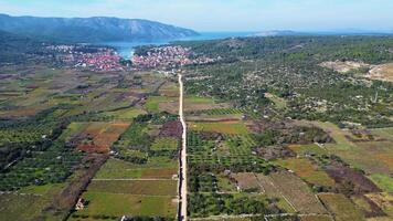 Visualizza di stari grad pianura hvar isola nel Croazia. il stari grad pianura è un incredibile unesco mondo eredità luogo, dove il agricoltura tecniche in pratica non lo sono cambiato da il 4 ° secolo avanti Cristo. video