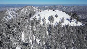 Antenne Drohne Aussicht von Bergsteiger ankommen beim ein Berg Gipfel umgeben durch gefroren Bäume. Berg Landschaft auf ein sonnig Winter Tag. video