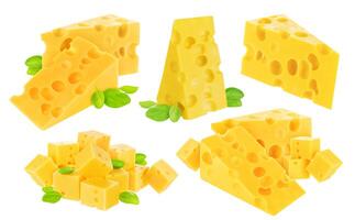 Cheese isolated on white background. Collection photo