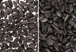 Black sunflower seeds. For texture or background photo