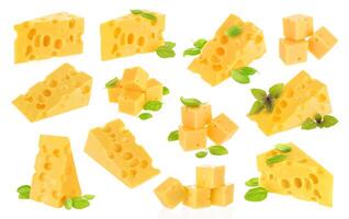 Cheese on white background photo