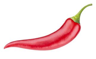 Red hot chili pepper isolated on white background photo