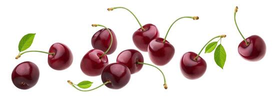 Cherry isolated on white background with clipping path, fresh cherries with stems and leaves photo