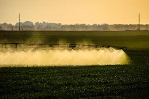 Jets of liquid fertilizer from the tractor sprayer. photo